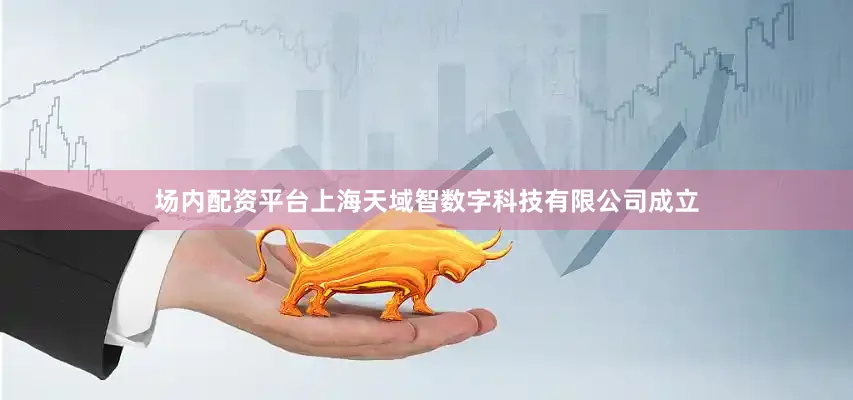 场内配资平台上海天域智数字科技有限公司成立