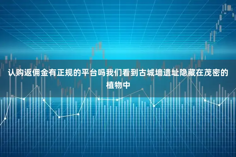 认购返佣金有正规的平台吗我们看到古城墙遗址隐藏在茂密的植物中